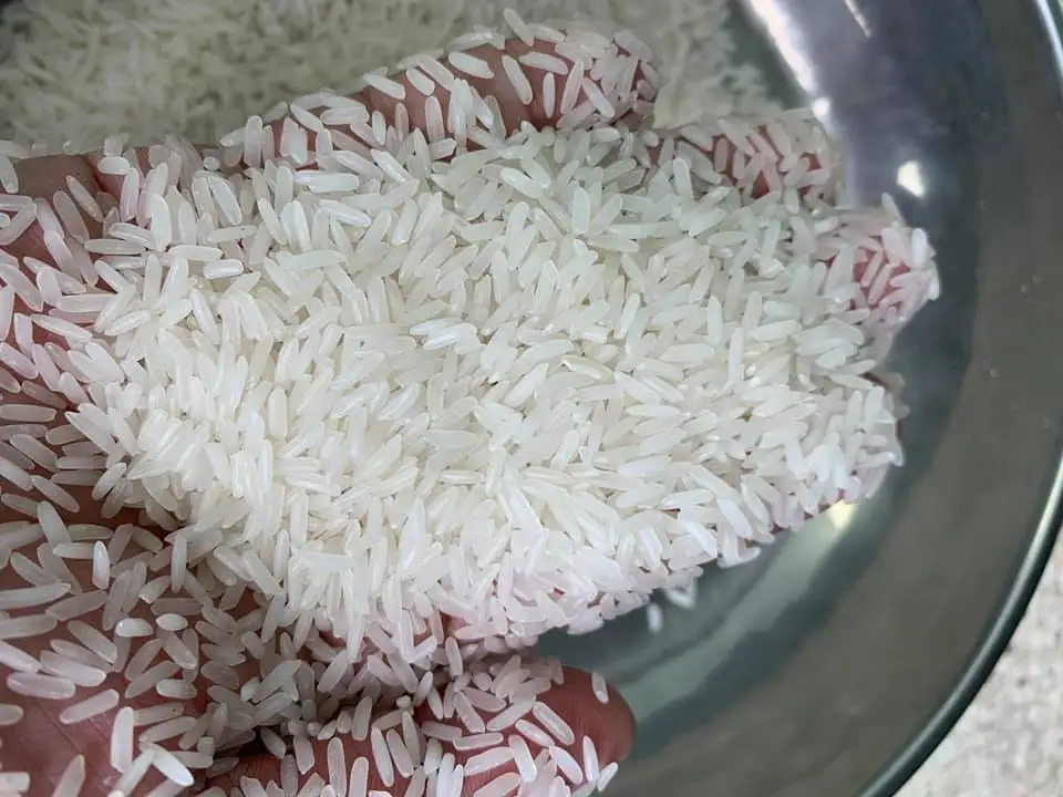 Organic rice high quality Vietnam long grain kdm white fragrant jasmine