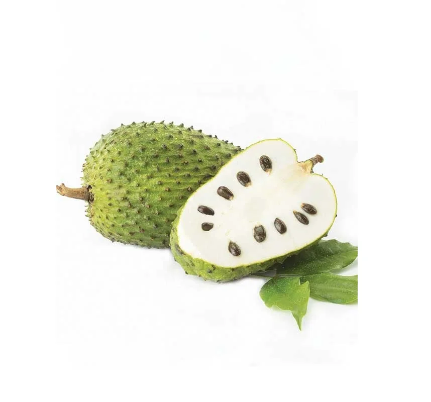 
Whosale Fresh Soursop Fruit High Quality from Vietnam/ Sweet and sour taste Fruit/ Good for Healthy 