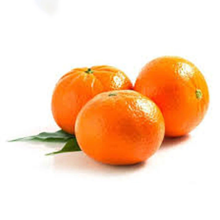 Low Best Price For Fresh Orange Fruit Wholesale Valencia Navel Orange