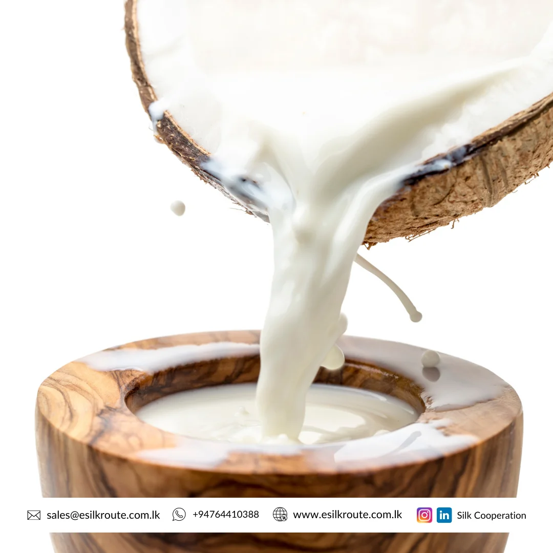 Pure Range Best Quality Protein Rich 100% Organic Sweet Virgin Coconut Milk 17% from Bulk Supplier