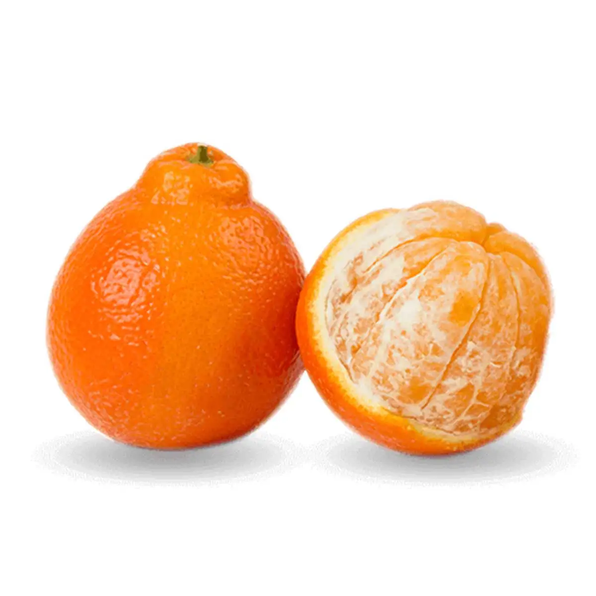 Best Quality Sweet Fresh mandarin orange