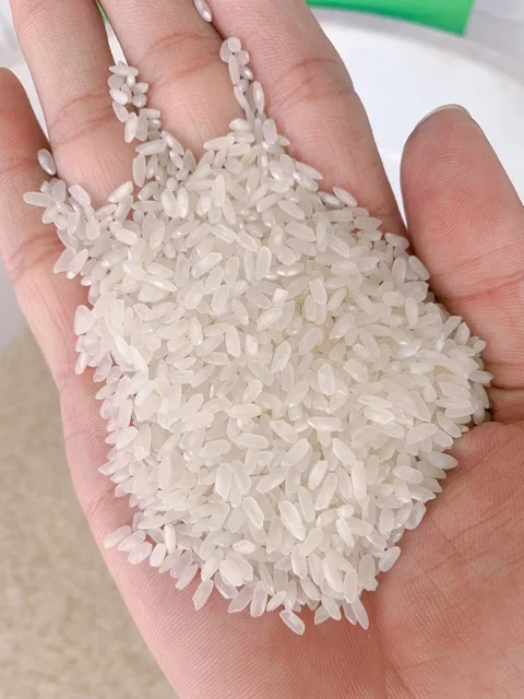 Jasmine Rice Fragrant New Crop RIZ AU JASMIN ARROZ Strong Perfume Long Grain Max Sortex LINDA WHATSAP 0084 989 322 607