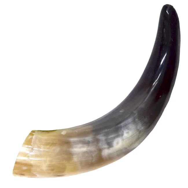 Handmade Drinking Horn Party Natural Drinking Viking Beer Drinking Horn Genuine Best Quality Hand Carved By Axiom Home Accents