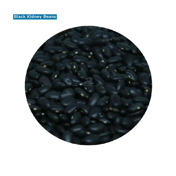 Hot Selling Good Quality 0.5% Spilt Bulk Supply Ethiopian Black Kidney Beans