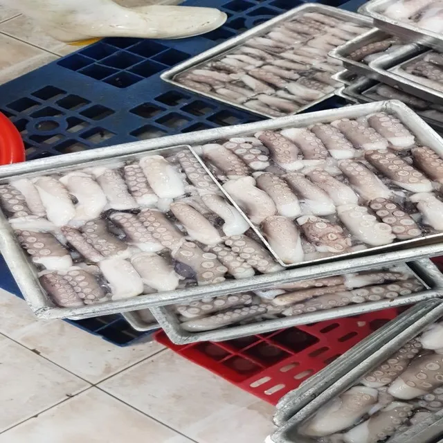 
FROZEN CUT POULP SQUID ALL SIZE- BEST PRICE 