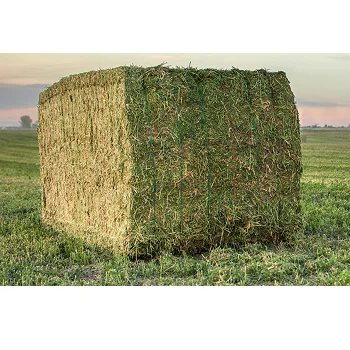 Гранулы Alfalfa дегидрация трава alfalfa сено корм для