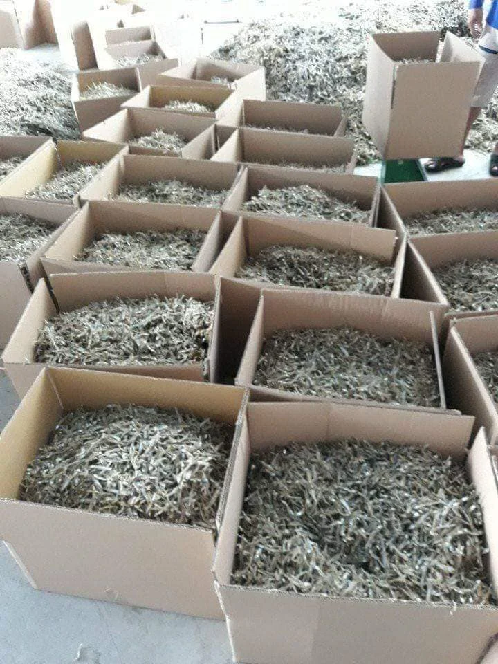Best quality Dried anchovy by sunshine from Vietnam High nutritive dry anchovy fish/ dried anchovy