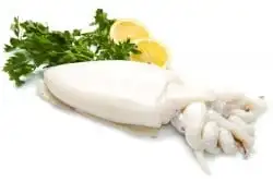FROZEN CUTTLEFISH FILLET ROLL HIGH QUALITY INDIAN EXPORT