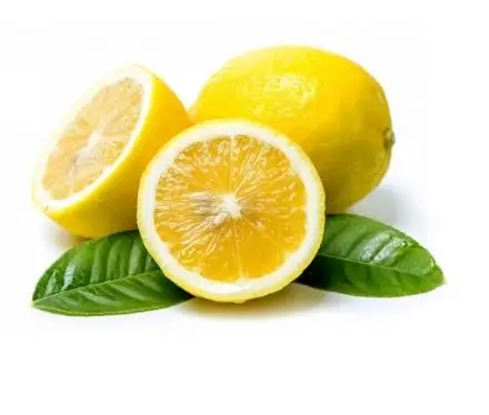 Fresh Lemon  Juicy Fresh Orange 2021 New Harvest Ready To Export BEST PRICE Mayer Enterdonato Lamas Eureka