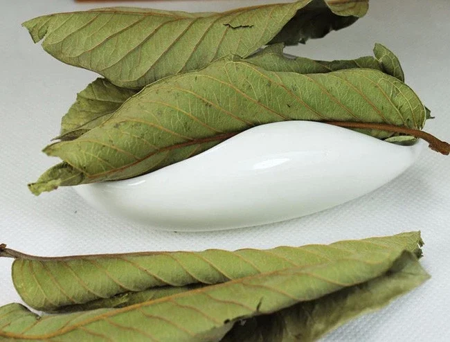 Dried Guava Leaf High Quality/Natural Green Dried Guava Leaves/Guava Leaf powder for Sale from Vietnam