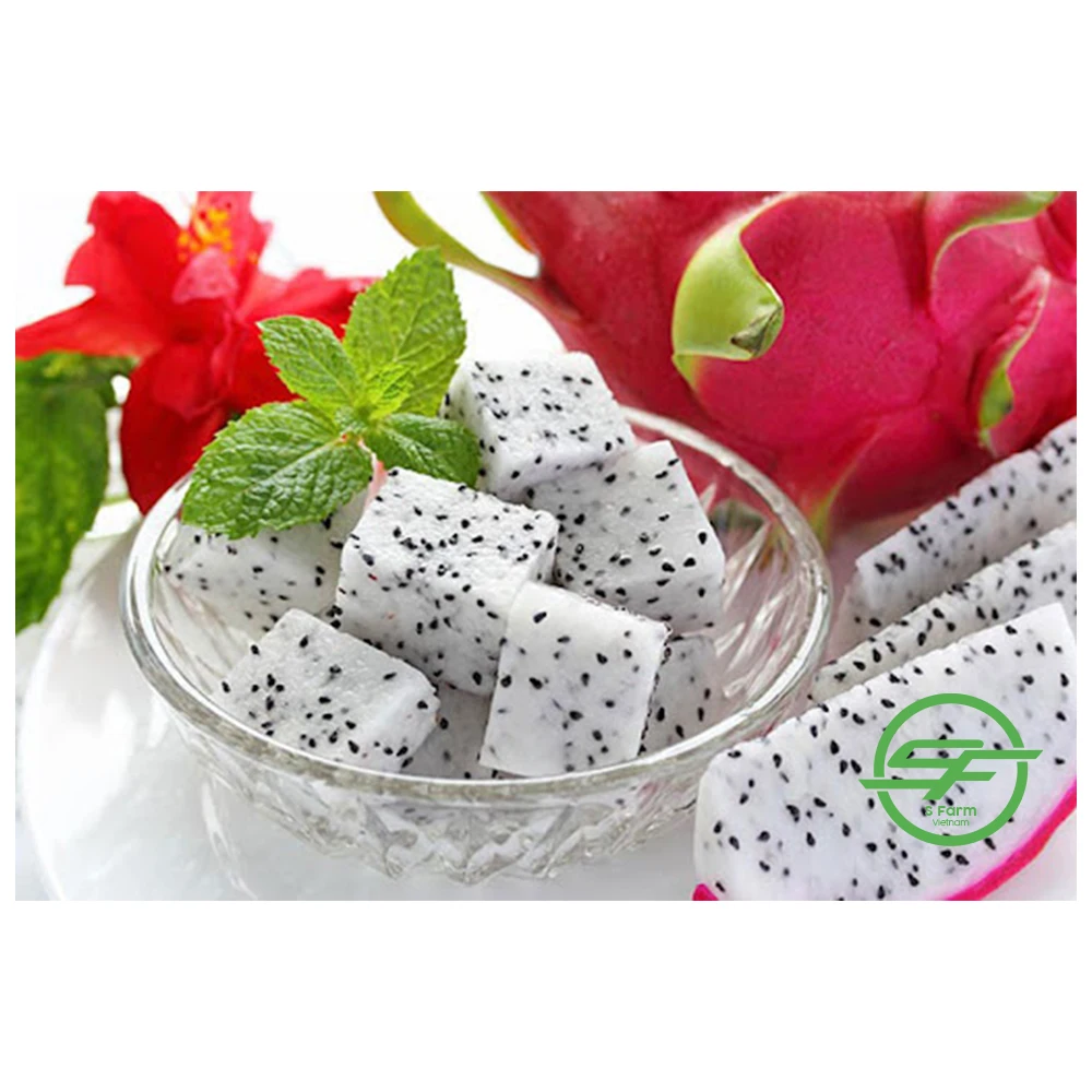 Fresh fruit from Vietnam High quality Red flesh Dragon fruit 100% Organic fruit