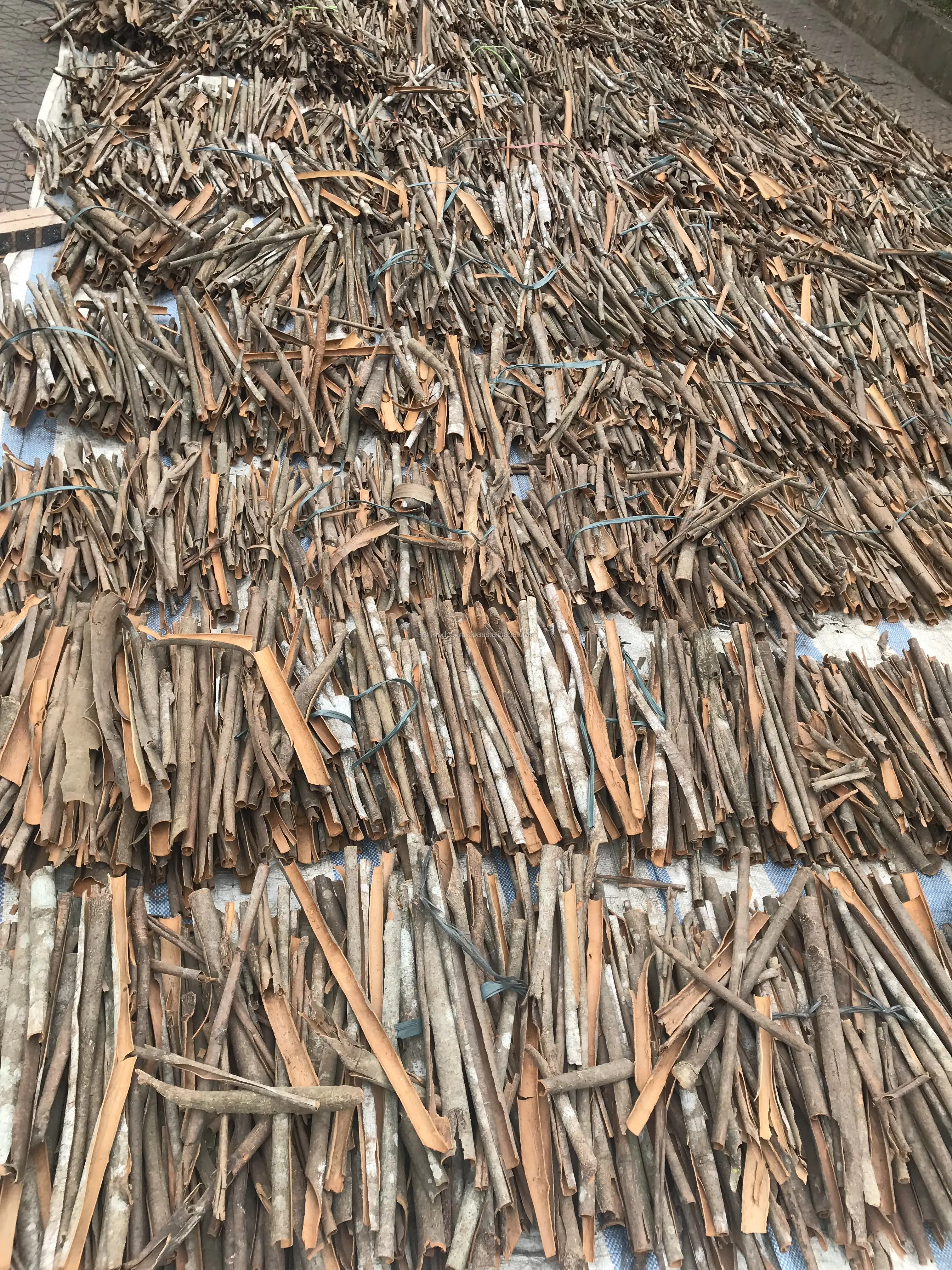 
Best quality SPLIT CASSIA FROM VIETNAM Whatsapp: +84 934 449 569 