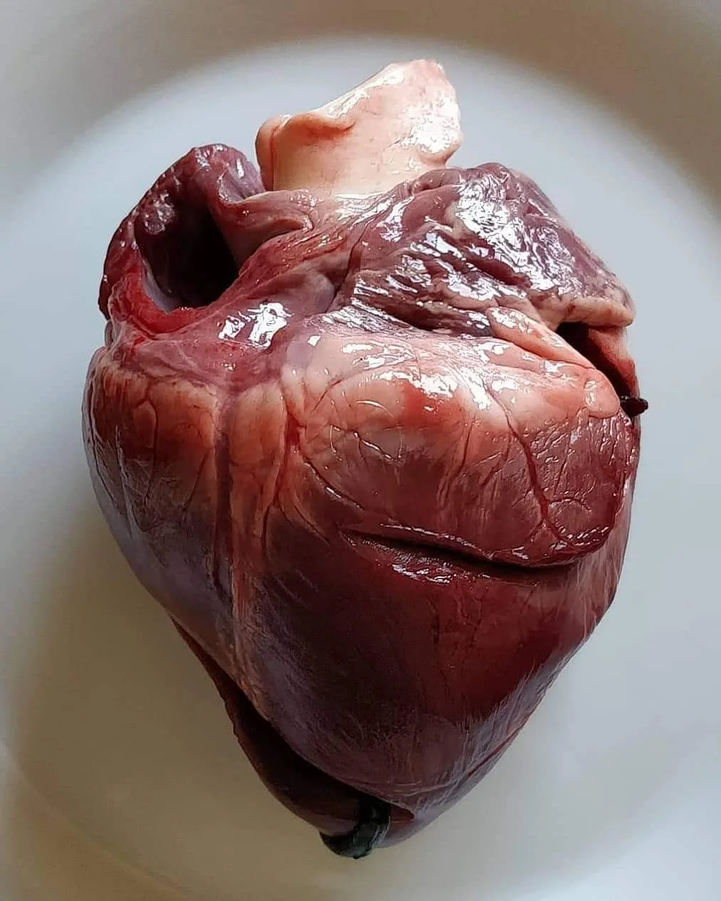 Сердце свинины