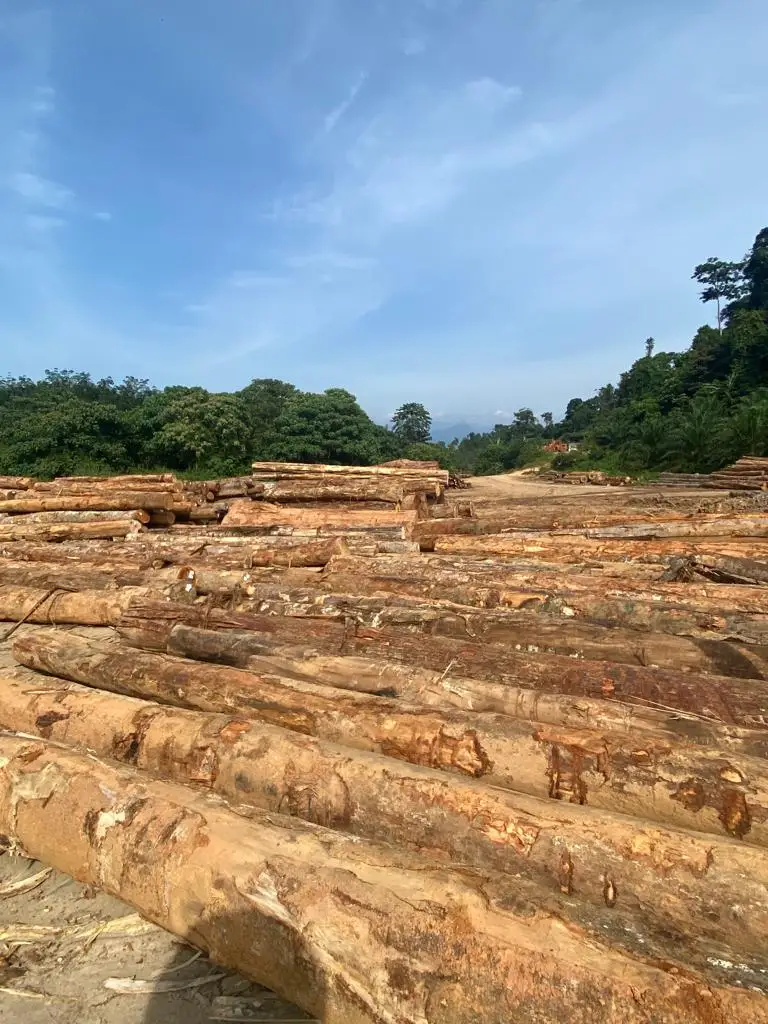 Good Quality Merbau Solid Hardwood Wood Supplier From Malaysia