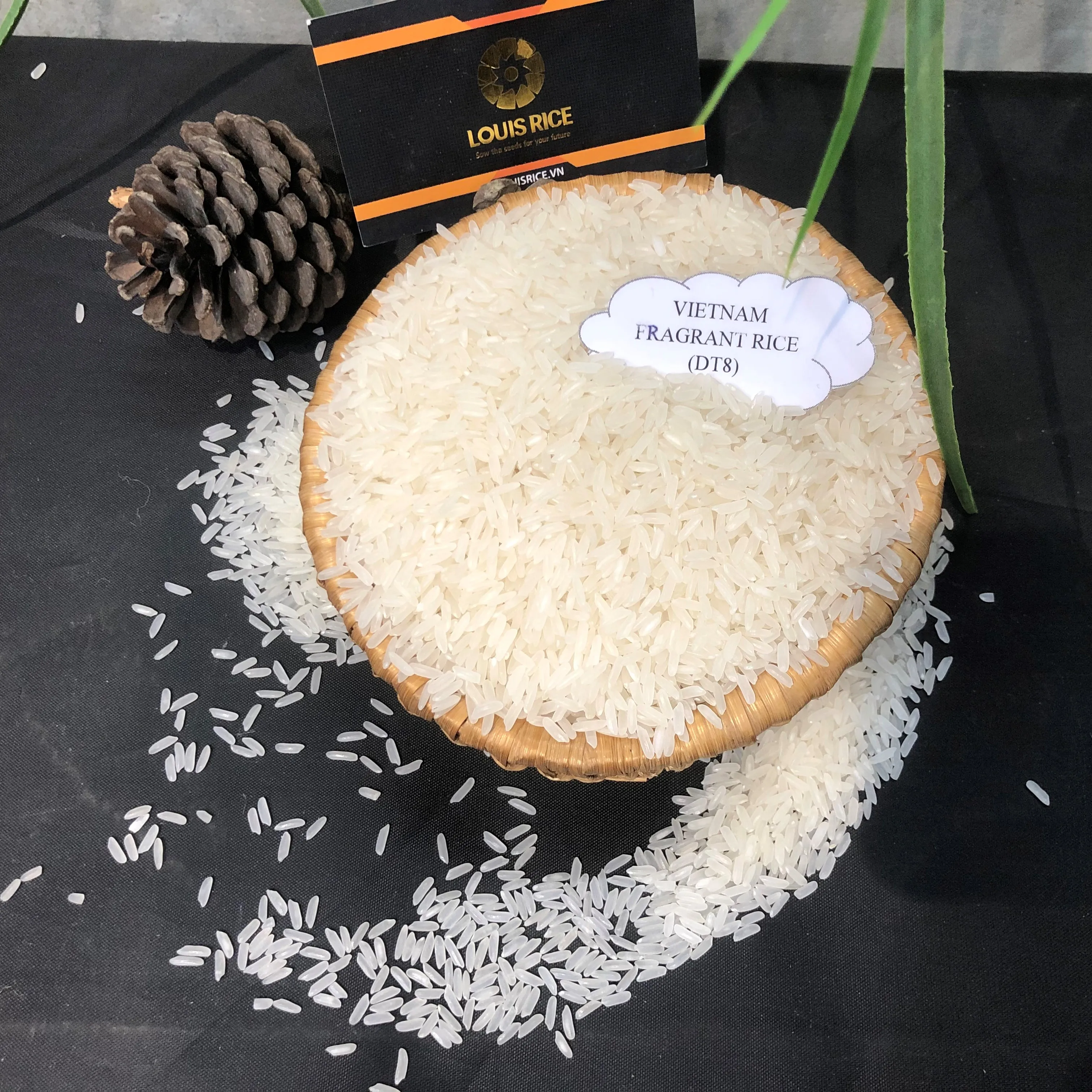 Best Dai Thom 8 rice 5% broken