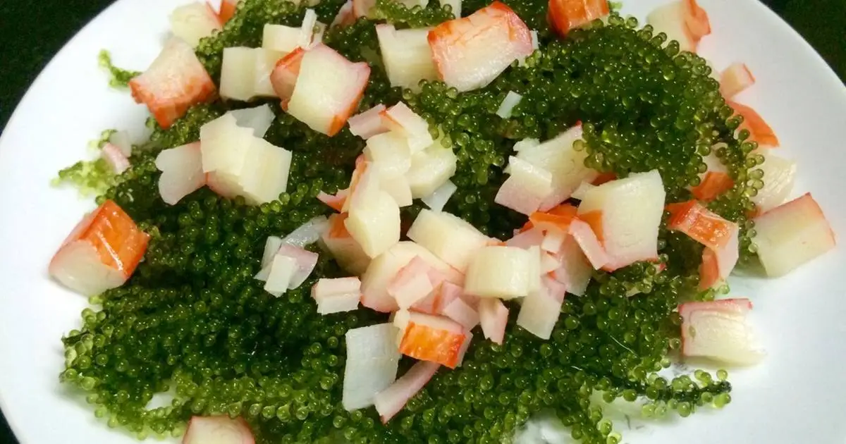 Конкурентоспособные цены и высококачественные натуральные водоросли из Вьетнама