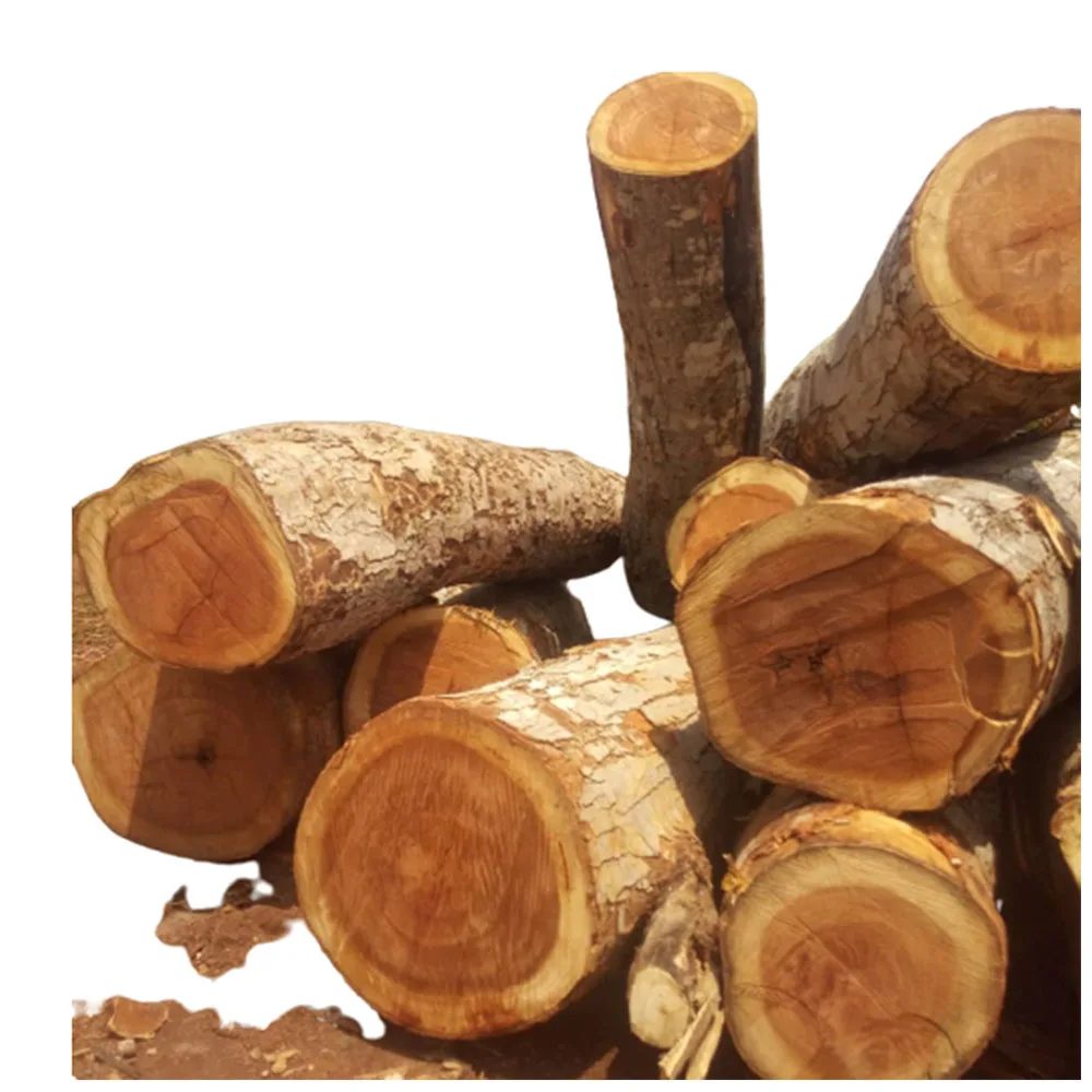 Senya Timber Logs High Quality Senya Wood Hard Teak Round Wood Log