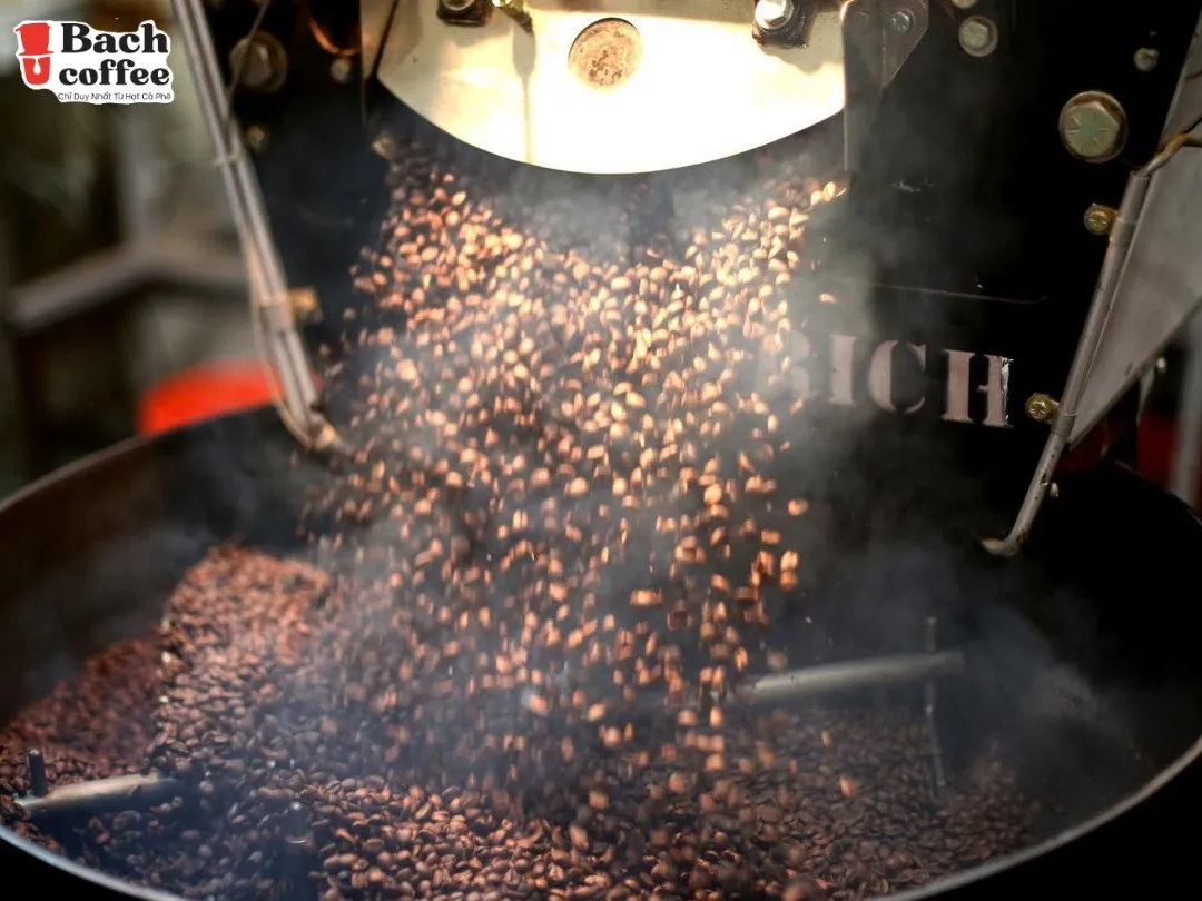 Свежий молотый кофе Cafe Arabica Beans грязевая лампа с кардамовым робуста-небольшая партия и дизайн OEM.