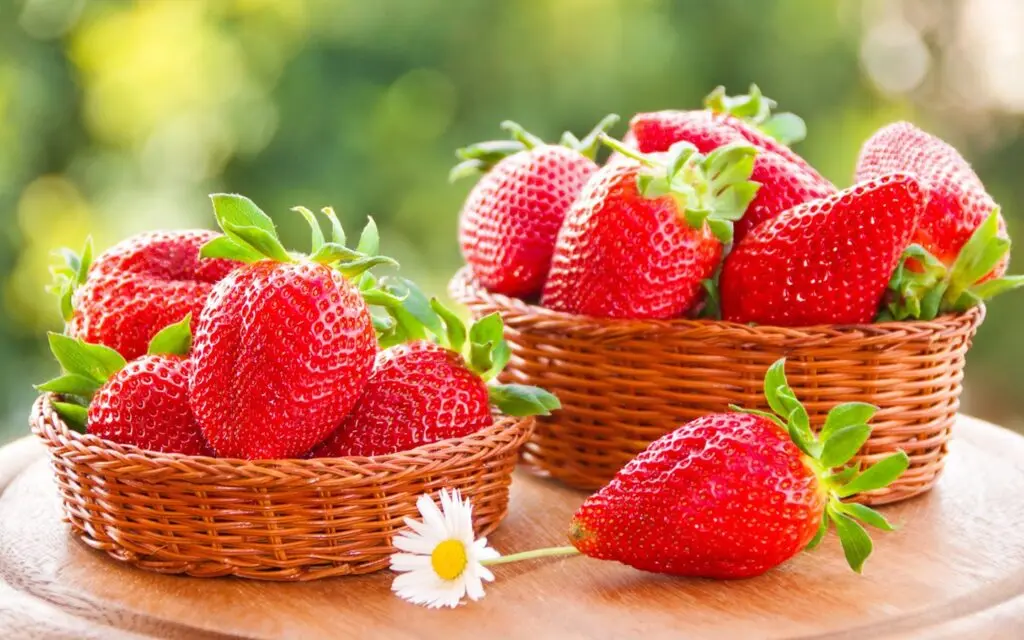  Лидер продаж свежая клубника премиум класса из Таиланда от SP Organic International