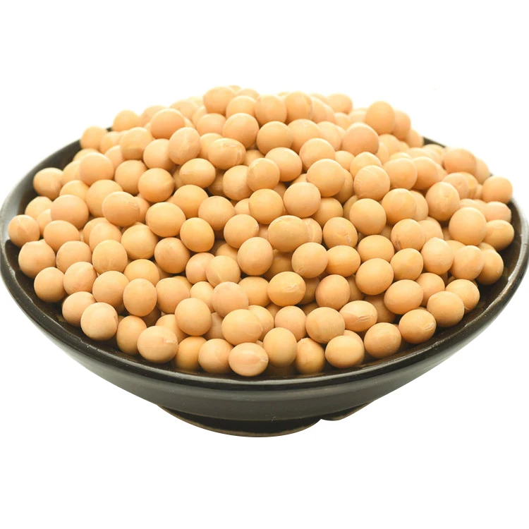 High quality dried Soya Bean/ Soybean