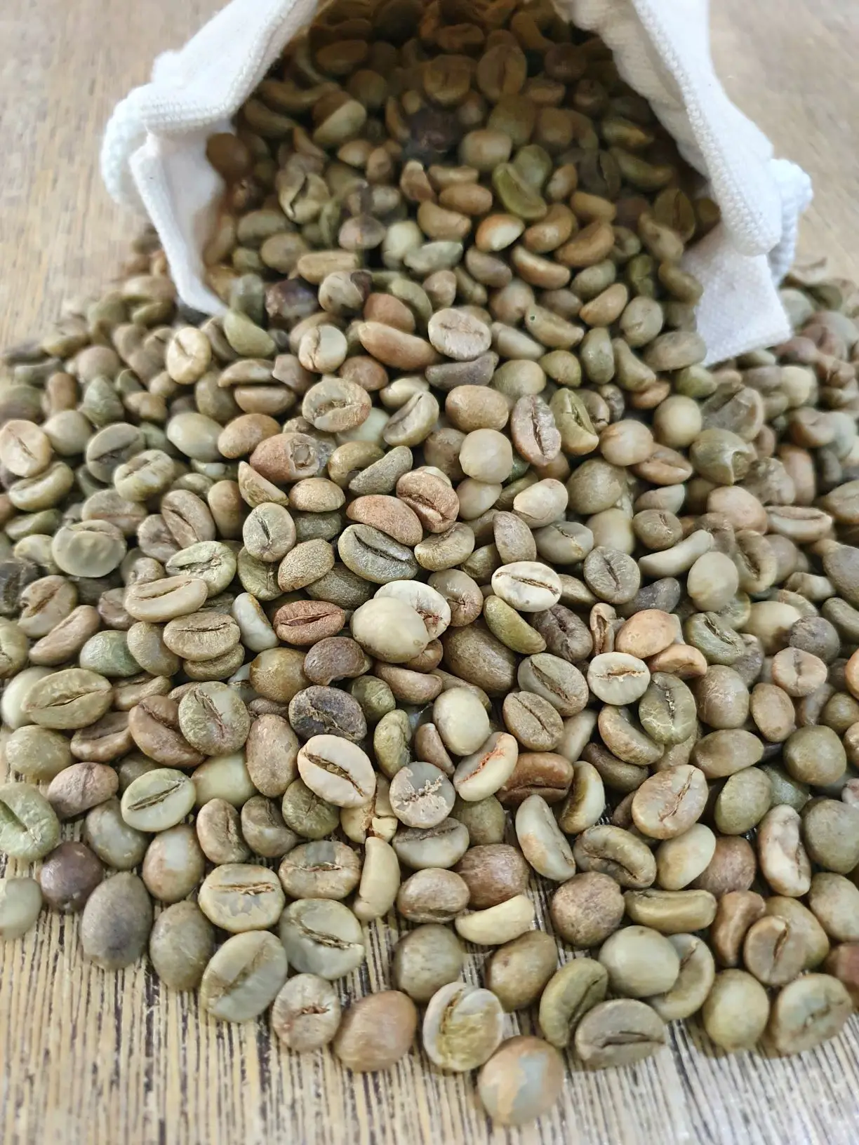 
Vietnamese Raw Coffee Beans Good Price 