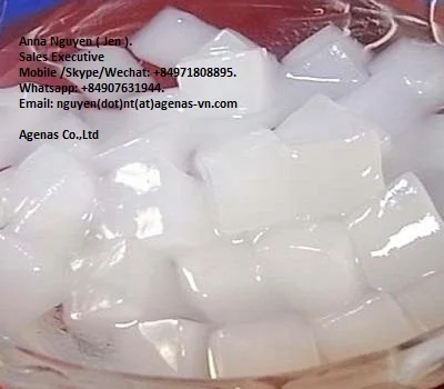 Wholesale Best Price NATA DE COCO FROM VIETNAM High Quality Ready To Ship AGENAS