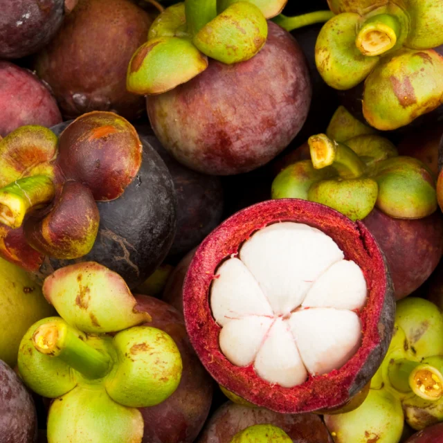  Фрукты конкурентоспособная цена фрукты мангостина 2021 с вкусным вкусом