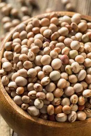 
Cheap Dried Pigeon Peas Price with Nutty Taste and Crisp Texture 