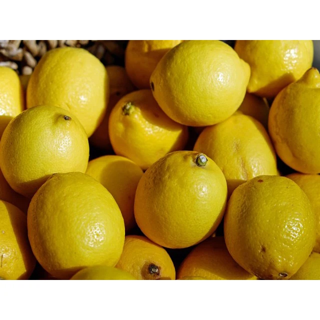 Fresh Super Delicious Taste Premium Quality Yellow Lemon - Whole Fruit Export
