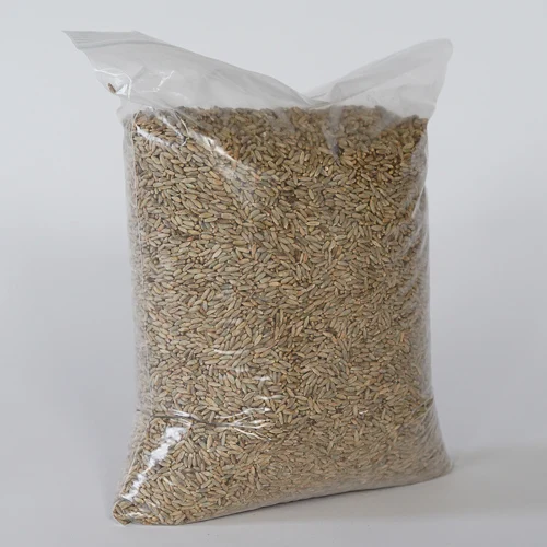Rye - Organic Whole Rye Grain Berries - Wholesale Russian Rye Grains