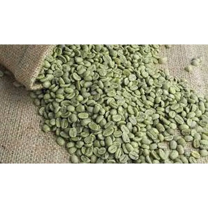 Best quality Green Coffee Beans TANZANIA SUPERIOR SC.16 + Robusta ready to export