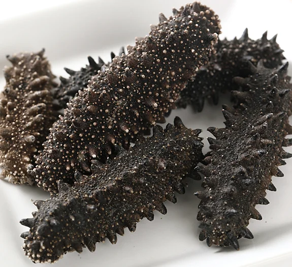 suppliers High protein low calorie Sea Slug dried sea cucumber