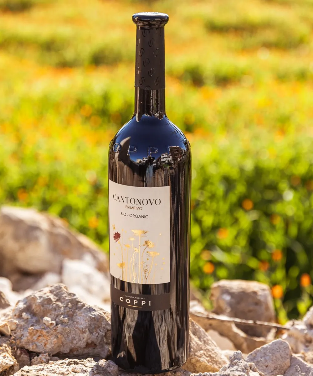 
Primitivo ORGANIC Bio 