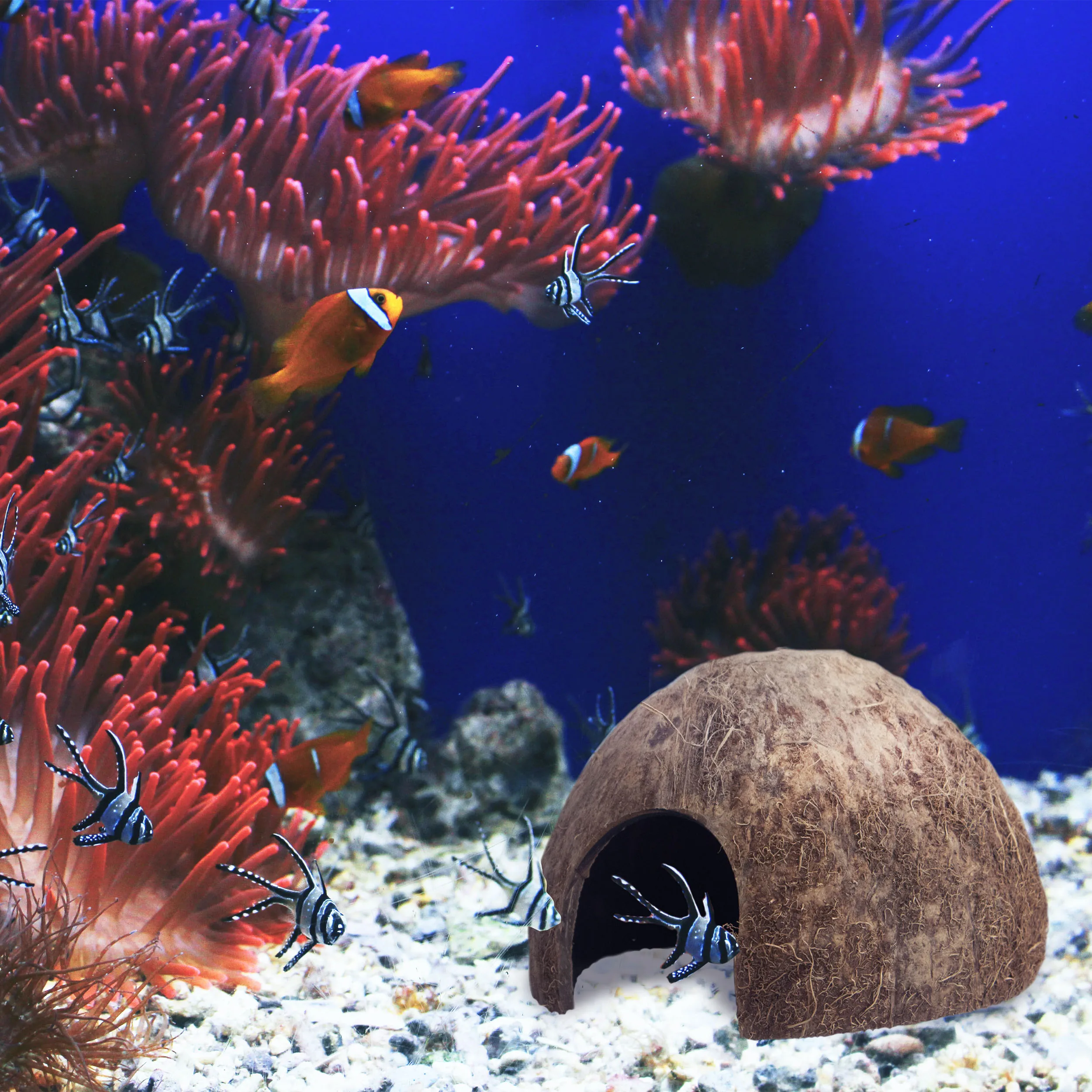 Pets Spacious Coco Tunnel Coconut Reptile Hide Cave Hideout For Lizard Spider Snake Hiding Shelter And Aquarium Fish Hide Cave