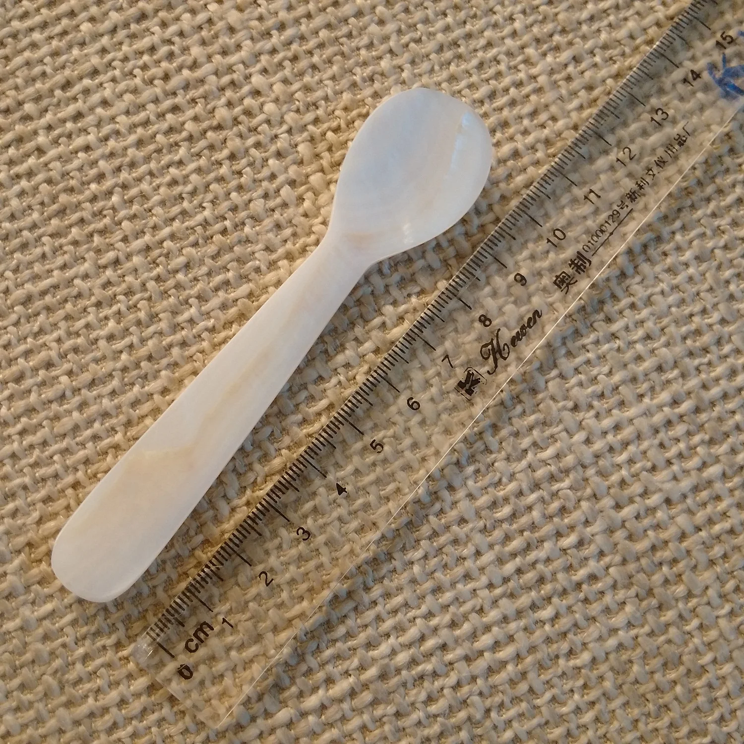 Caviar spoon from shell size 9cm