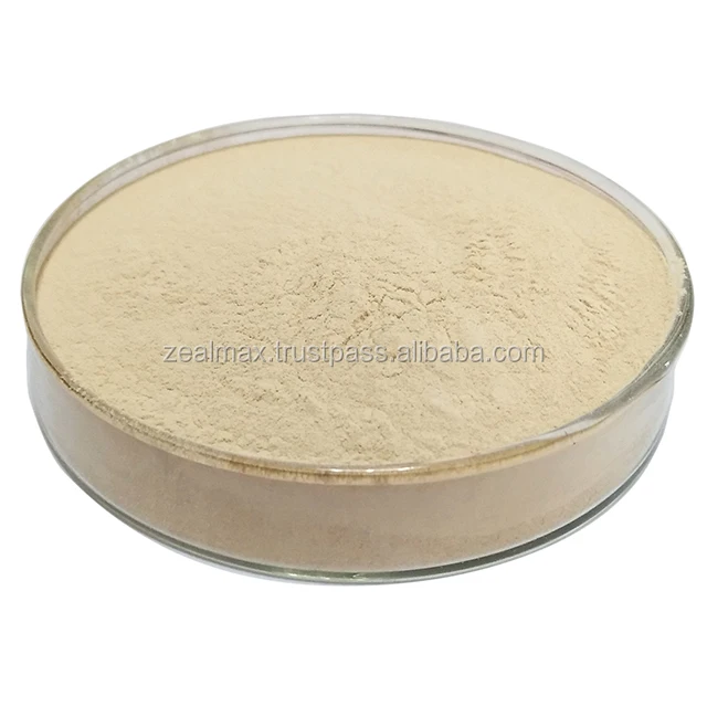 
Bacillus Subtilis GMP Approved Best Quality Bacillus Subtilis Powder Indian Exporter - Zealmax Biopharma 