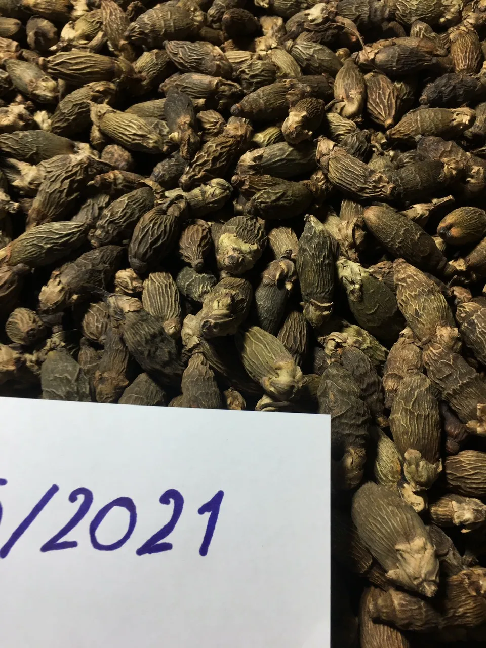 Низкая цена молодой орех betel/молодой сушеный areca из Вьетнама-Lina + 84 896 625 614