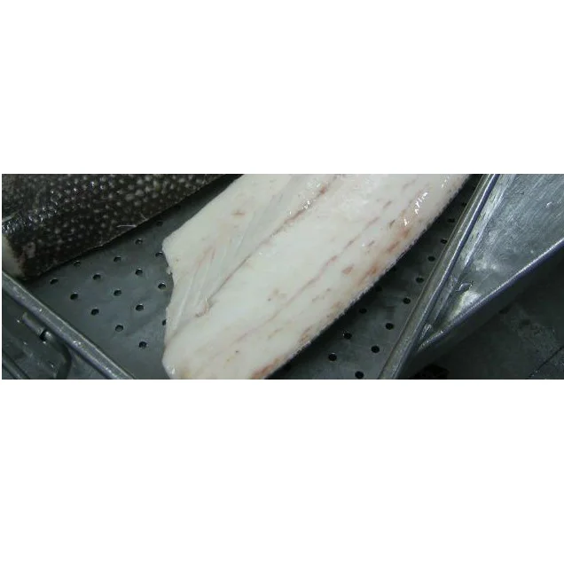 OILFISH RS FILLET