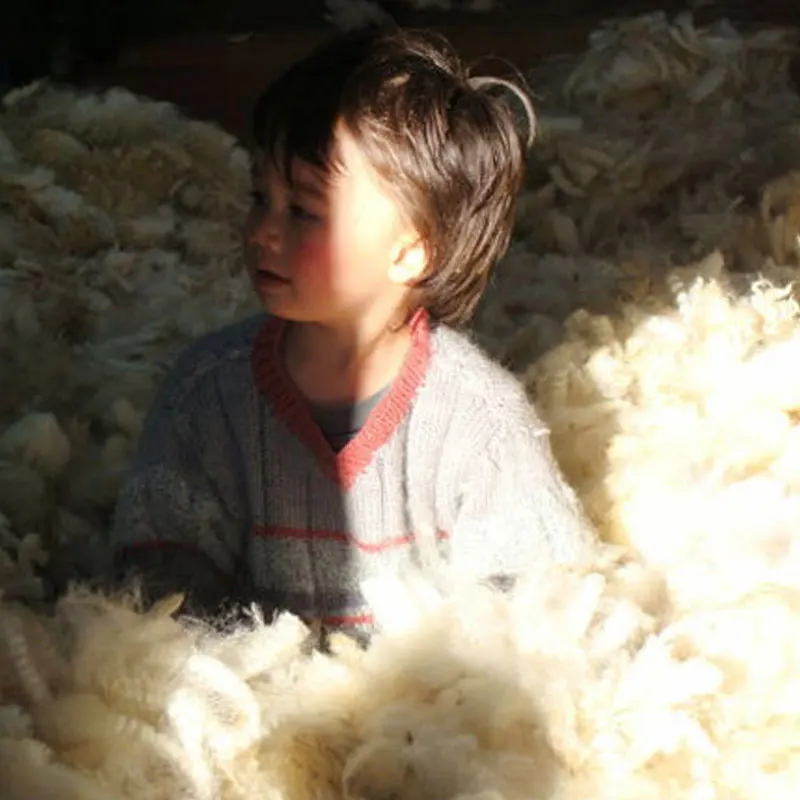 Wholesale Supplier Customized Logo Pure Eco Laundry Organic Felt Set Wool Balls Dryer
