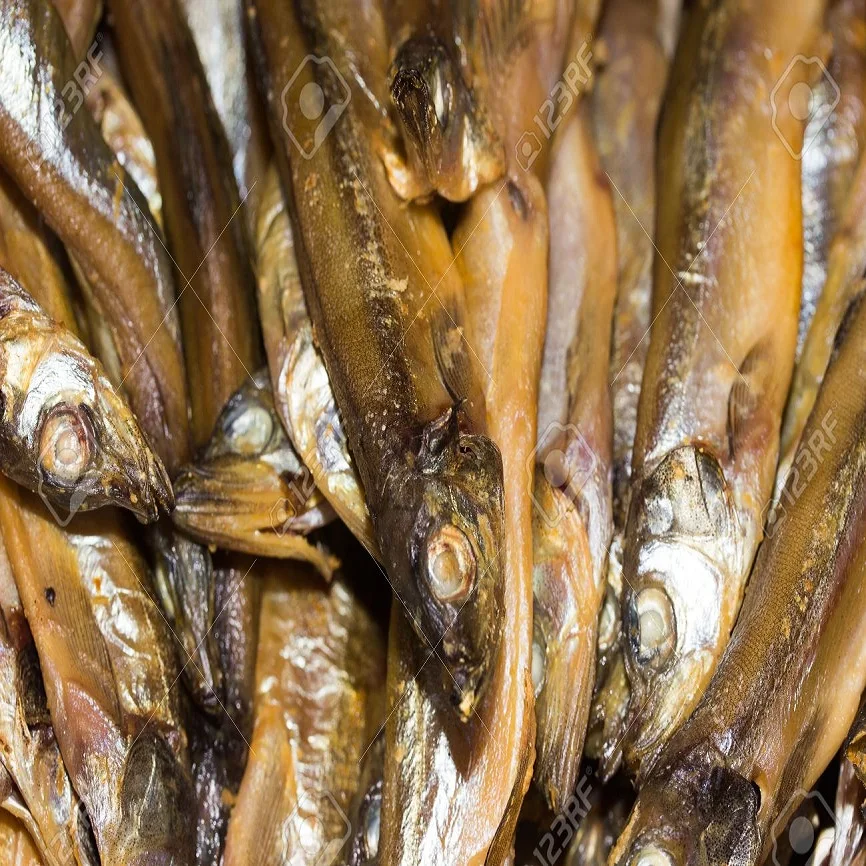 Dried Salted Herring fish/Hilsa TorI AMBER