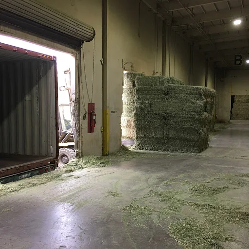 Buy Organic Alfalfa Grass Hay in netherlands/ Alfalfa Hay Pellets For Animal Feed For Sale Bulk