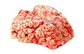 Высококачественная халяльная замороженная говядина | Свежий говяжий мозг