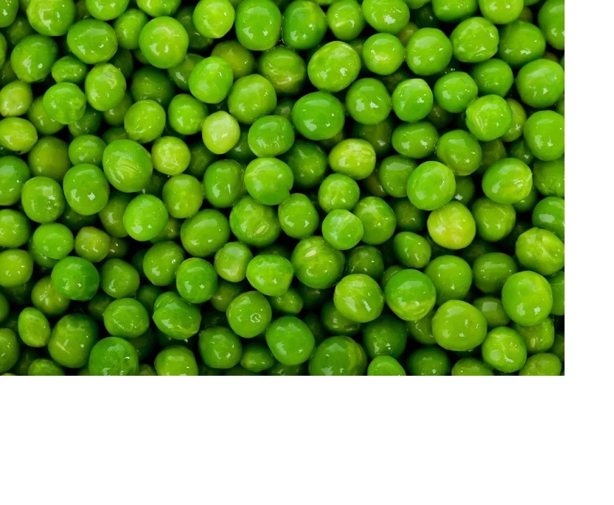 Wholesale Salad Breakfast Green Beans IQF Frozen Green Peas