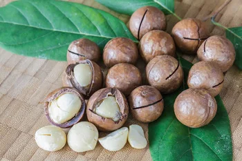 
Macadamia nuts, roasted macadamia, organic macadamia nut 