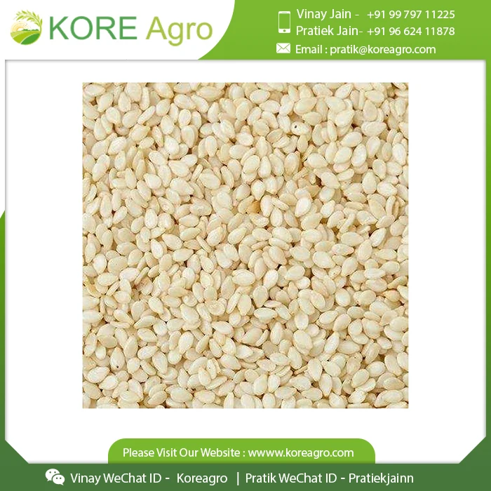 Wholesale Price  Pure Sesame Seeds Agriculture Product Natural Black Sesame