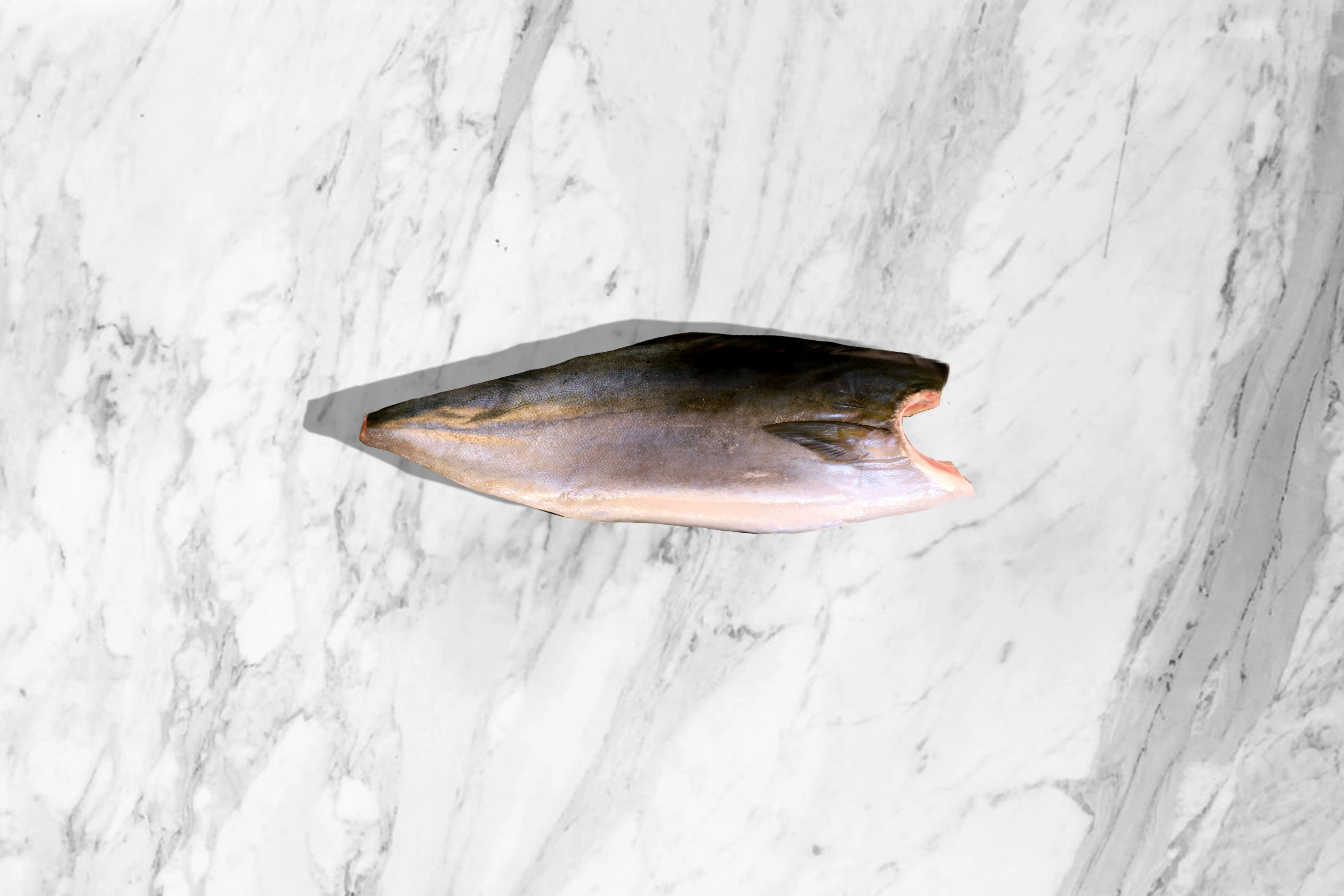 Froze japanese yellowtail fillet fish / frozen fish fillet