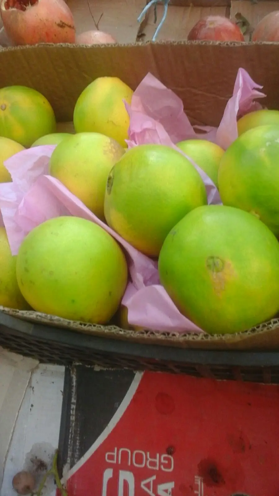 HIGH QUALITY JAFFA ORANGE FROM EGYPT