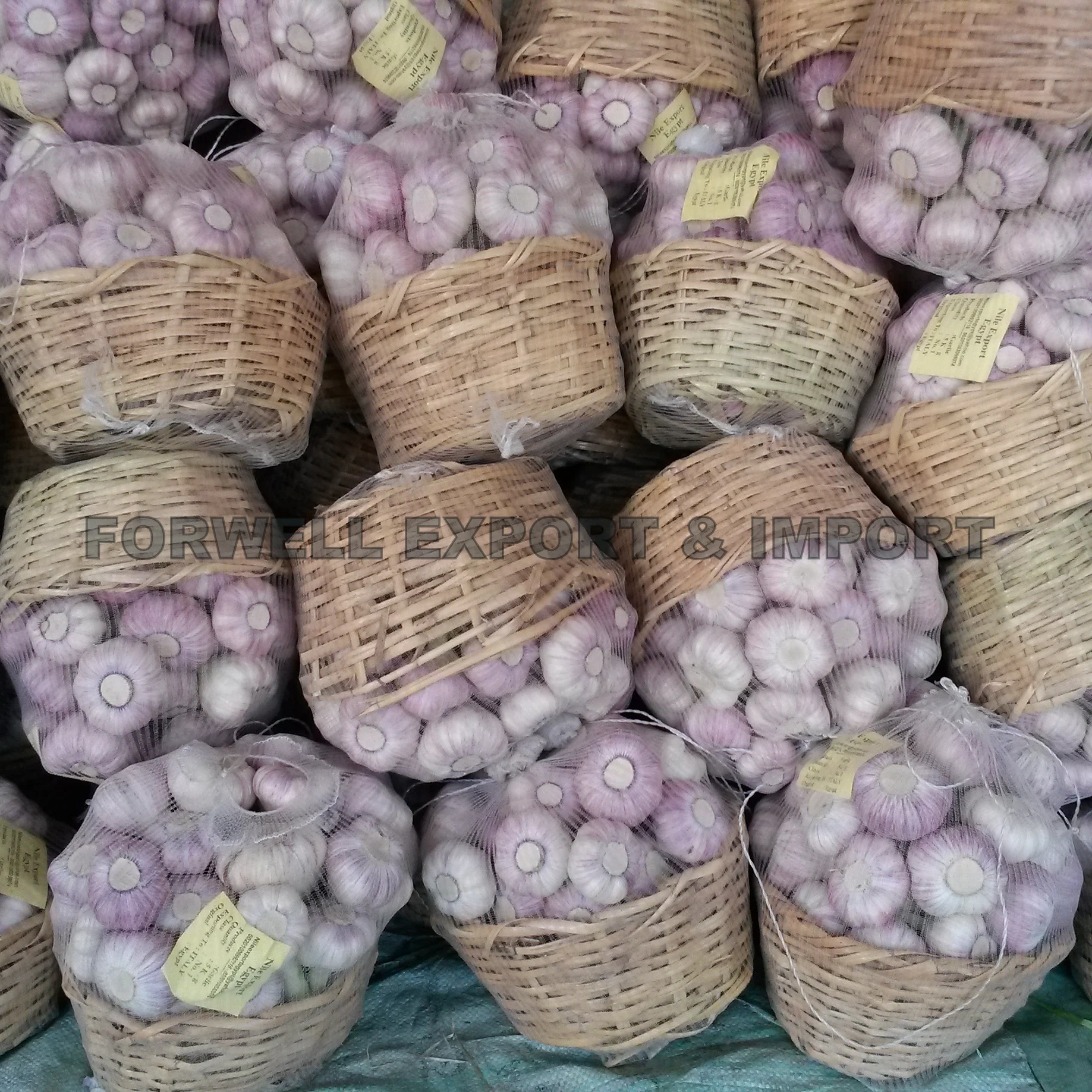 Certificated GAP/ HALAL/ KOSHER Fresh Garlic 2021