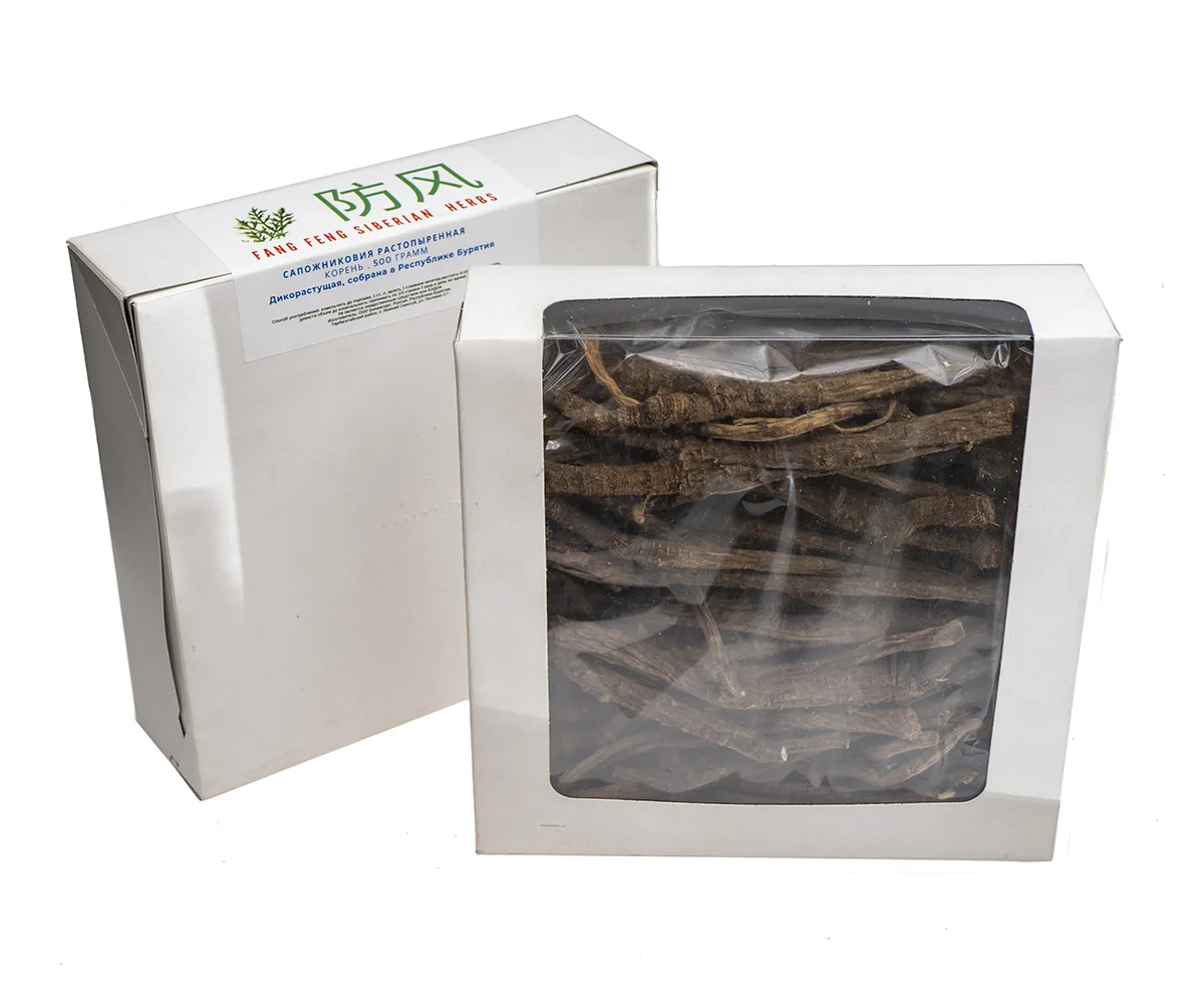 Saposhnikovia Divaricata Wild Growing Root Siler Root Fang Feng Traditional Herb