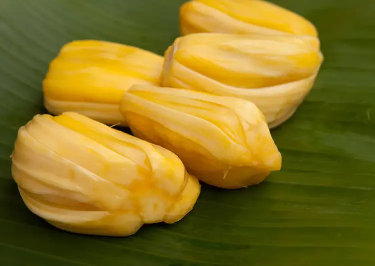 Vietnam jackfruit recent crop  for daily use Certified from Vietnam